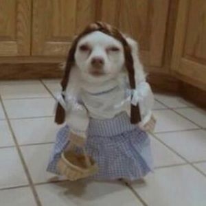 Meet your Posher, Aiden